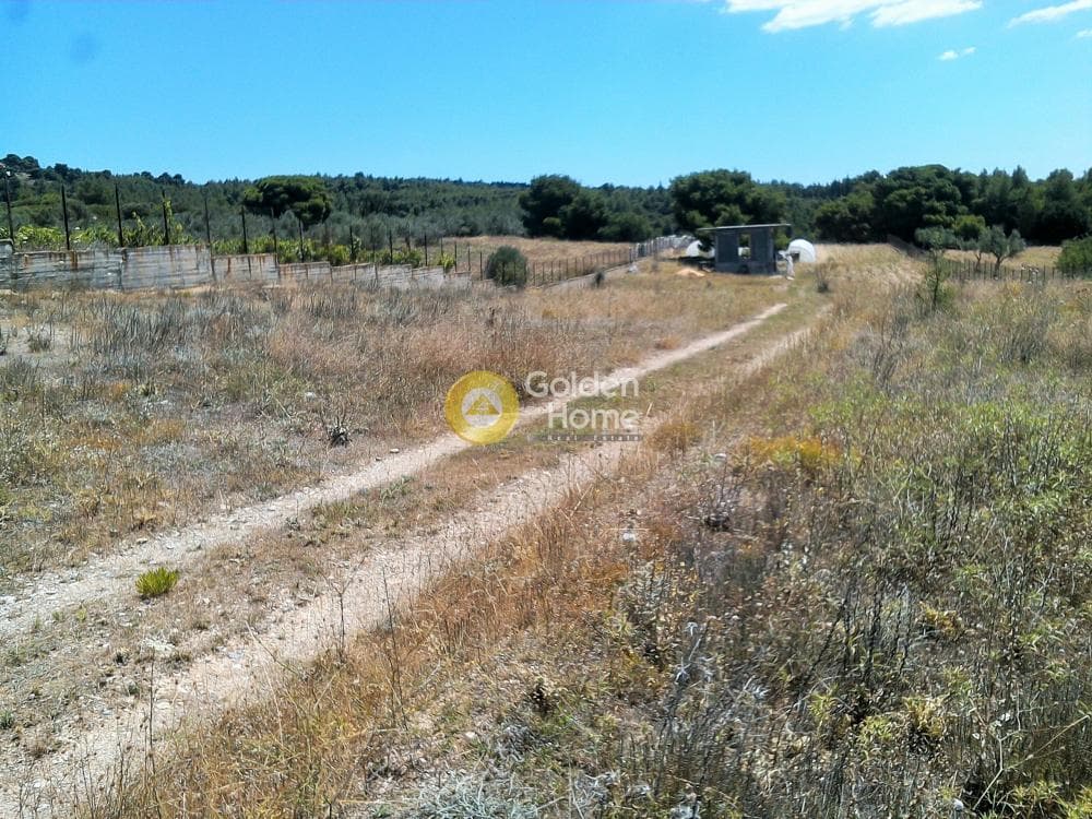 Αγροτεμάχιο στην Μεγάλα Σχοινία Α, Αχαρνές — Φωτογραφία 5 από 10