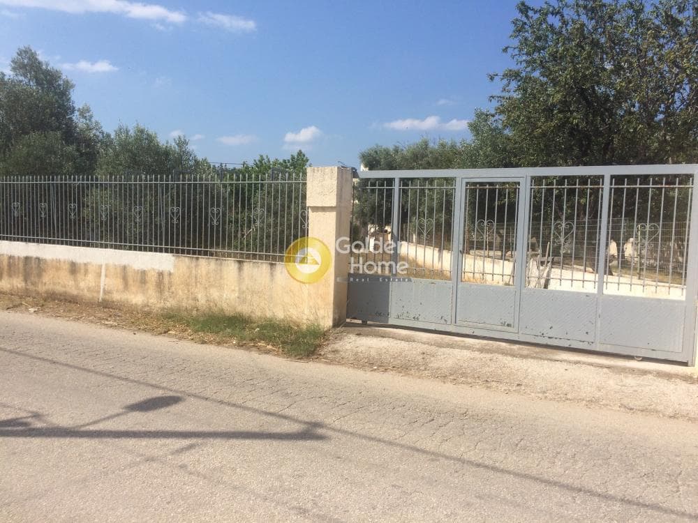 Αγροτεμάχιο στην Λαμπρικά, Κορωπί — Φωτογραφία 4 από 5