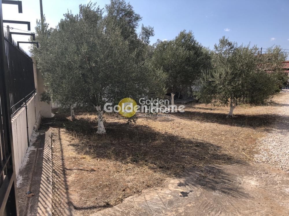 Μονοκατοικία στην Λαμπρικά, Κορωπί — Φωτογραφία 5 από 14