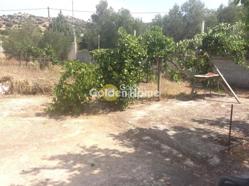 Μονοκατοικία στην Λαμπρικά, Κορωπί — Φωτογραφία 14 από 14