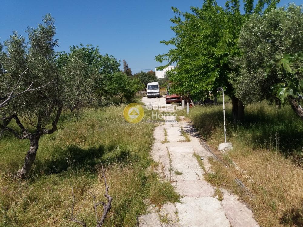 Building Plot in Kalivia, Kalivia Thorikou — Photo 3 of 8