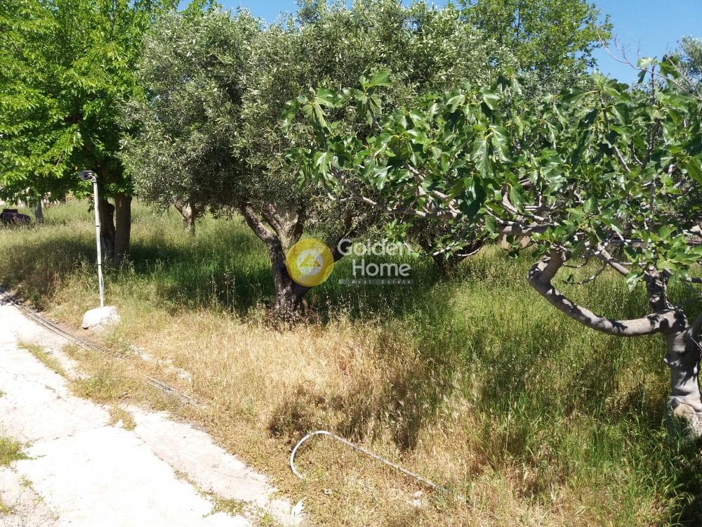 Building Plot in Kalivia, Kalivia Thorikou — Photo 5 of 8