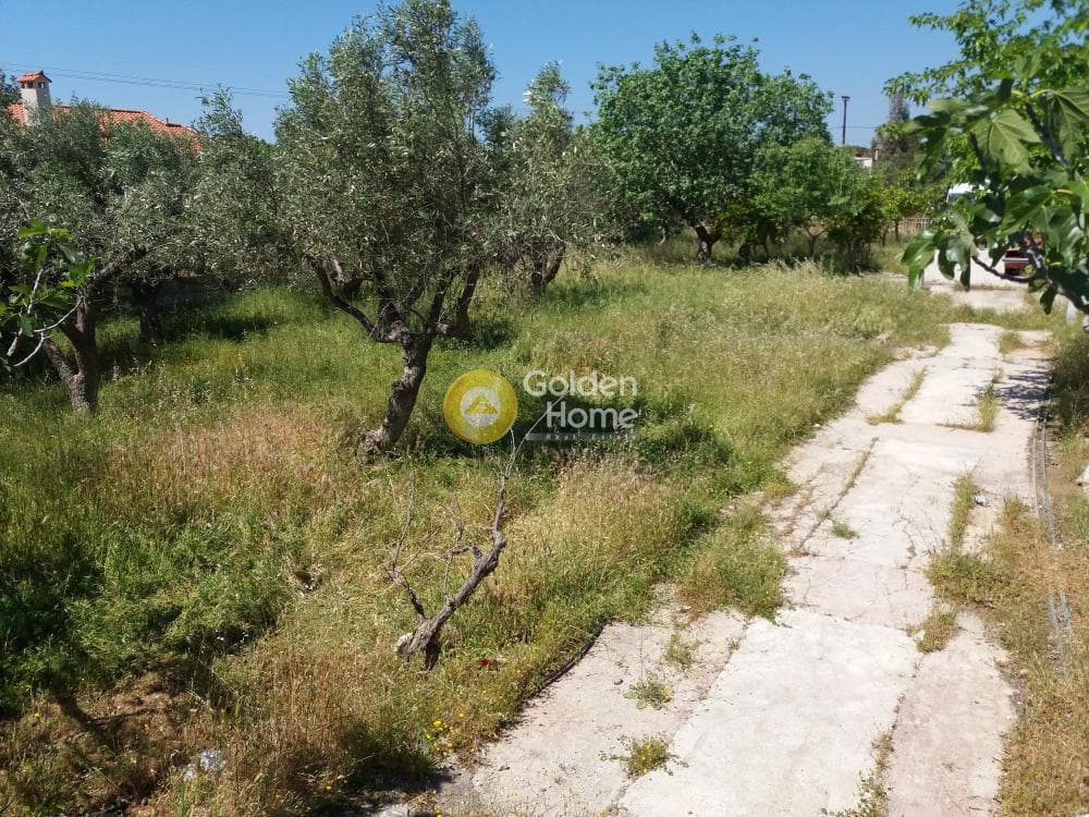 Building Plot in Kalivia, Kalivia Thorikou — Photo 4 of 8