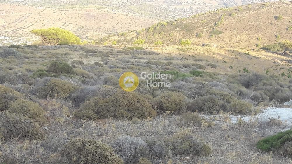 Parcel in Venio Daskaleiou, Keratea — Photo 6 of 9