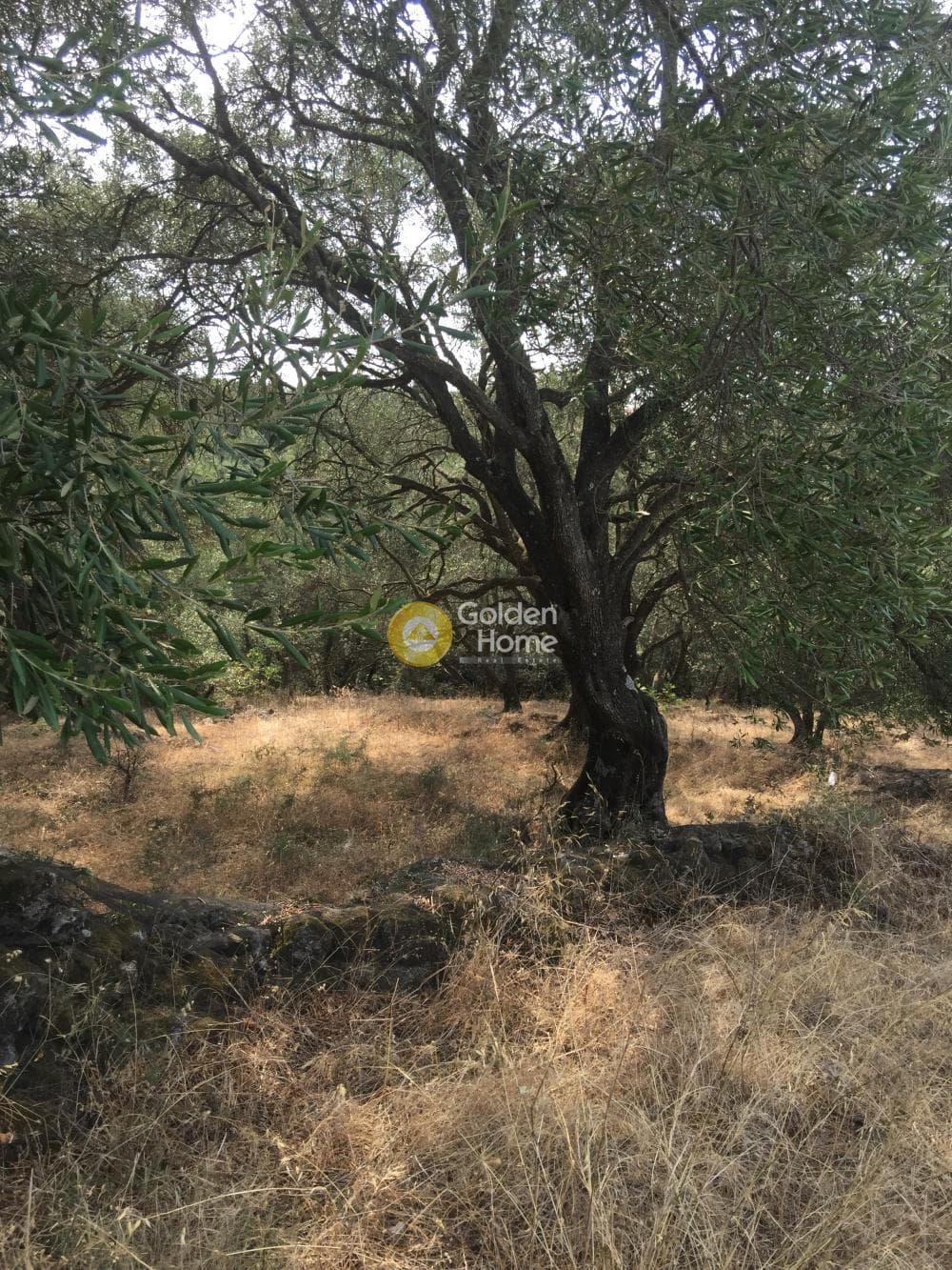 Οικόπεδο στην Κασσιόπη, Κέρκυρα — Φωτογραφία 8 από 13