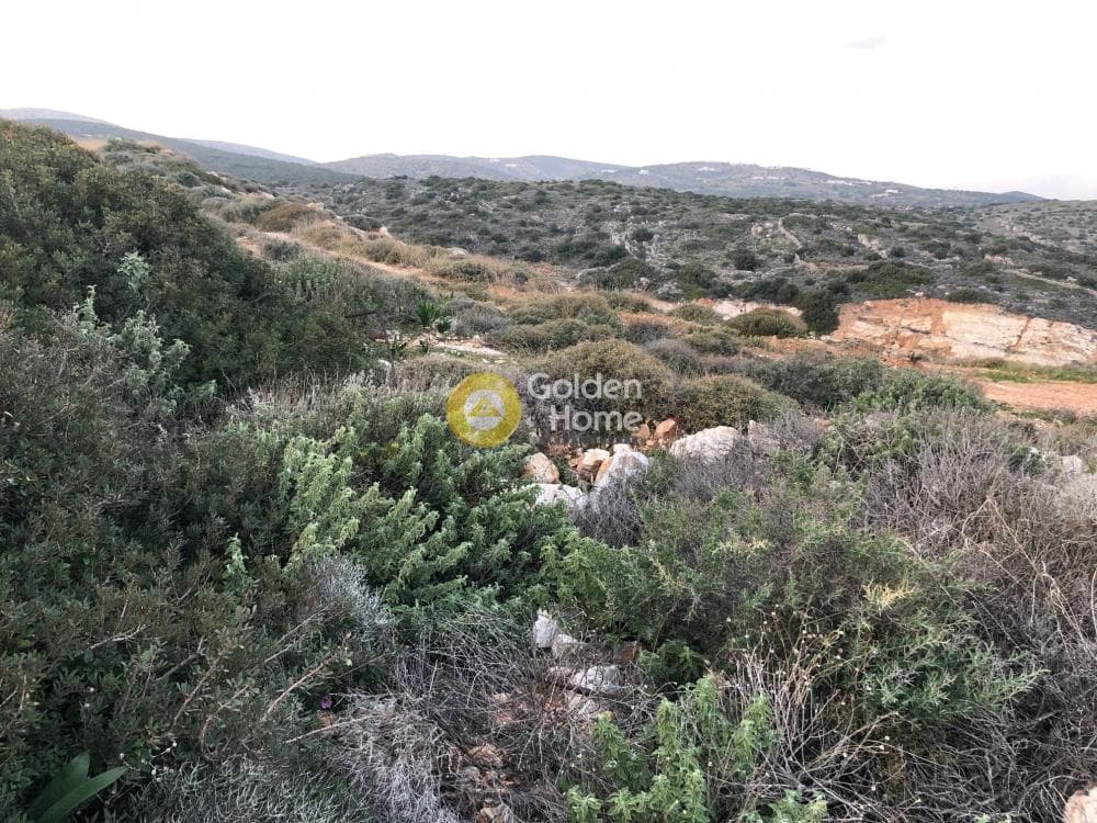 Building Plot in Prodromos, Paros — Photo 10 of 15