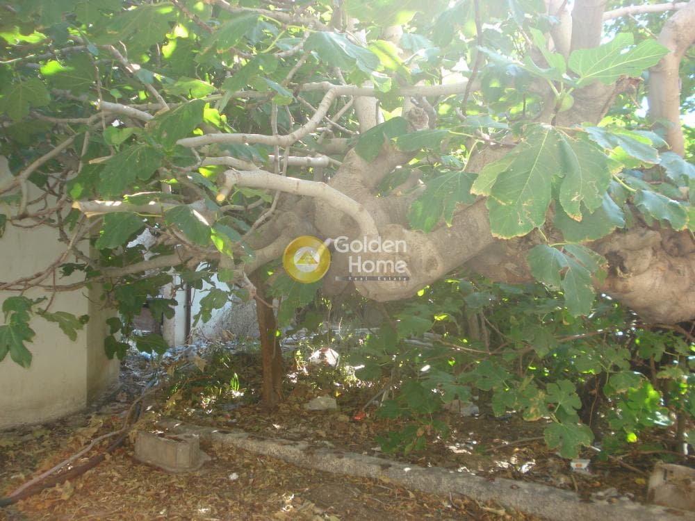 Building Plot in Elaionas, Anavissos — Photo 3 of 4
