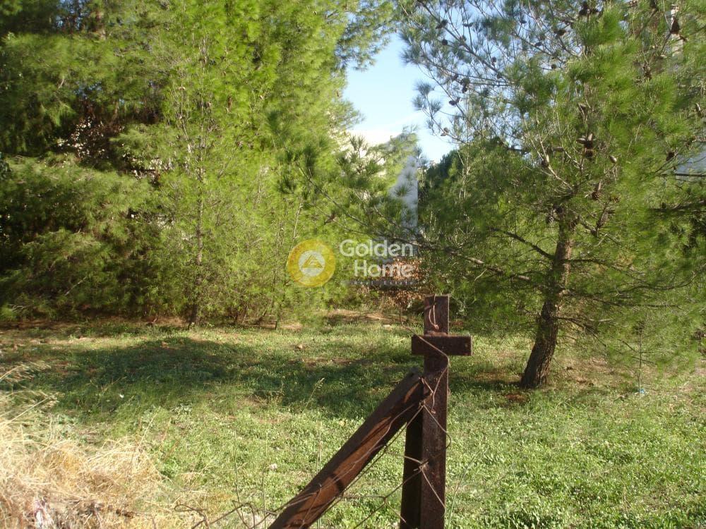Building Plot in Adames Oikismos Peloponnision, Kifisia — Photo 1 of 7