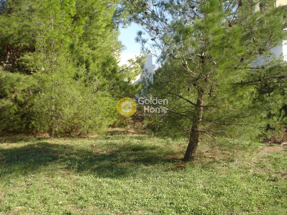 Building Plot in Adames Oikismos Peloponnision, Kifisia — Photo 2 of 7