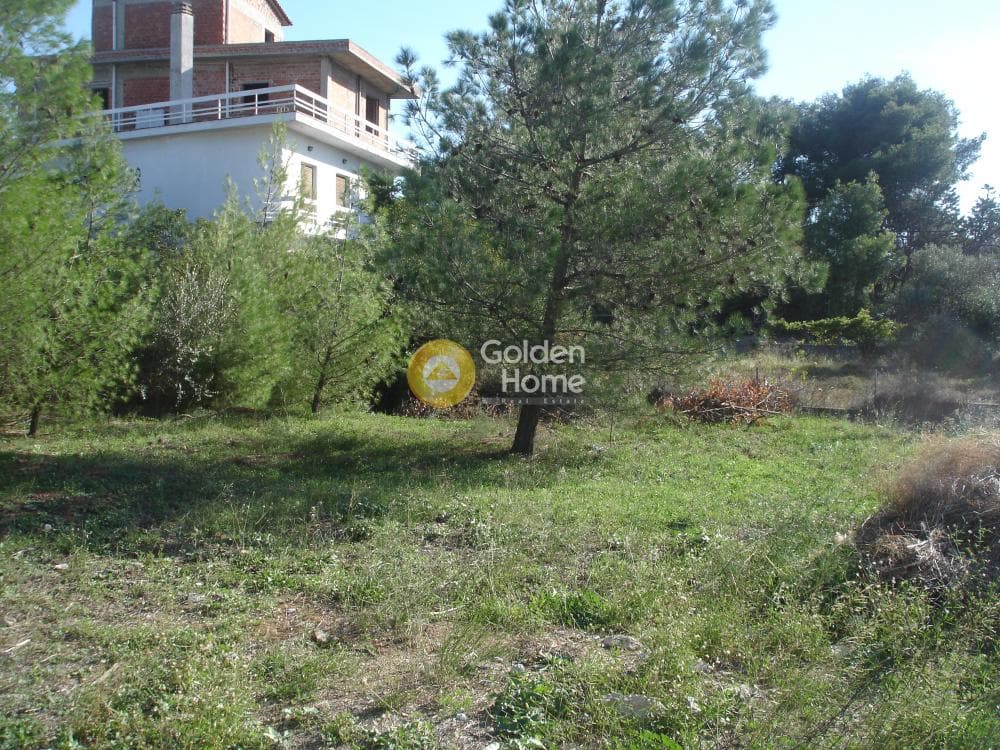 Building Plot in Adames Oikismos Peloponnision, Kifisia — Photo 3 of 7