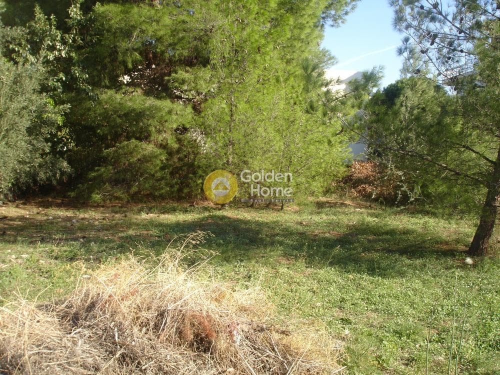 Building Plot in Adames Oikismos Peloponnision, Kifisia — Photo 6 of 7