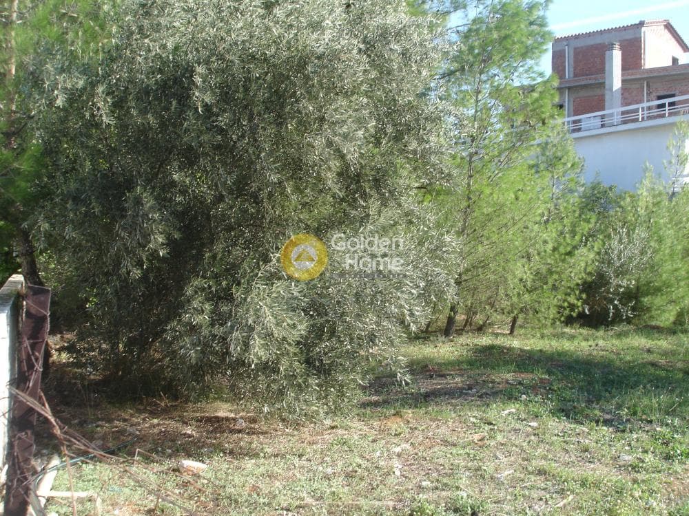 Building Plot in Adames Oikismos Peloponnision, Kifisia — Photo 7 of 7