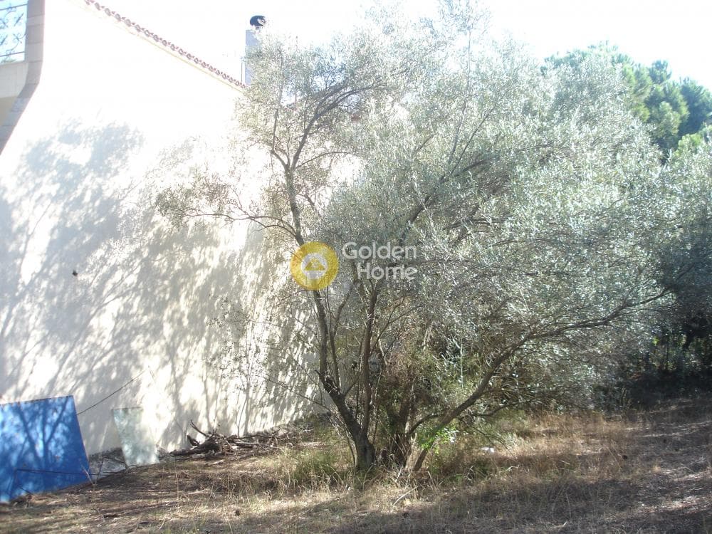 Οικόπεδο στην Οικισμός Ποντίων, Άγιος Στέφανος — Φωτογραφία 5 από 12