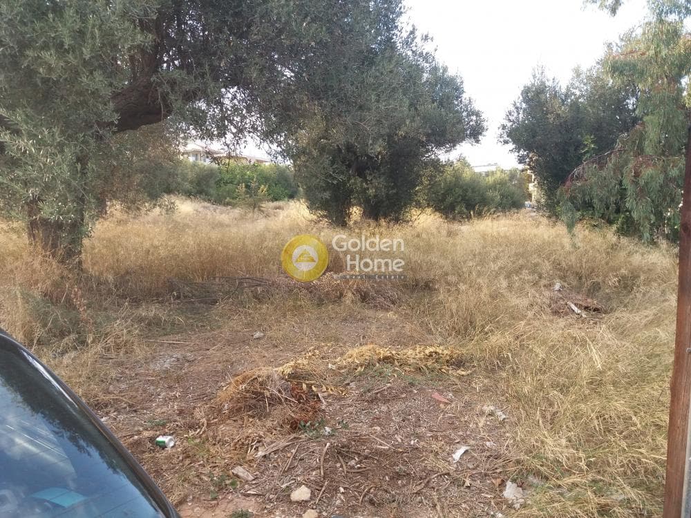 Οικόπεδο στην Κέντρο, Γλυκά Νερά — Φωτογραφία 2 από 4