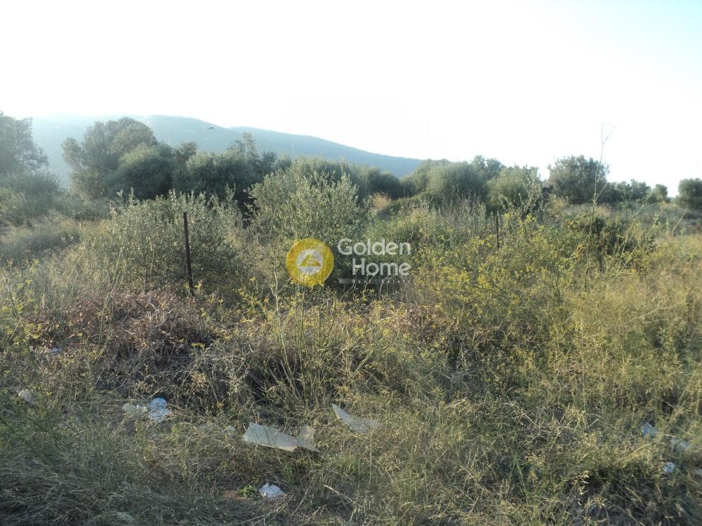 Οικόπεδο στην Αγία Τριάδα, Παιανία — Φωτογραφία 7 από 8