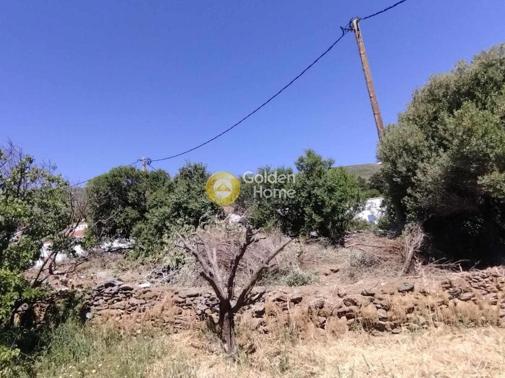 Οικόπεδο στην Στενιές, Άνδρος — Φωτογραφία 1 από 6