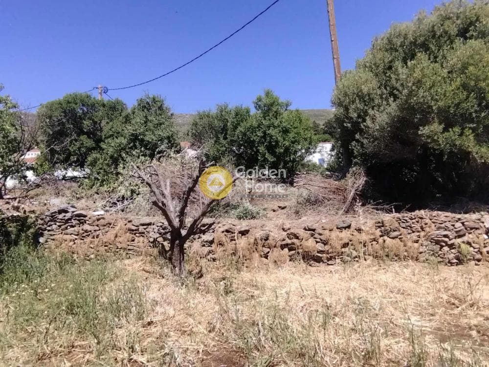 Οικόπεδο στην Στενιές, Άνδρος — Φωτογραφία 4 από 6