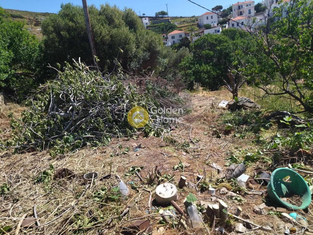 Οικόπεδο στην Στενιές, Άνδρος — Φωτογραφία 2 από 6