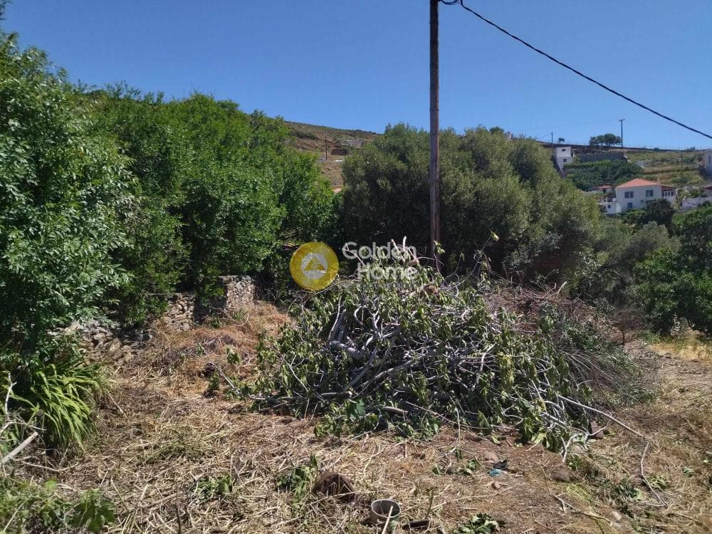 Οικόπεδο στην Στενιές, Άνδρος — Φωτογραφία 6 από 6