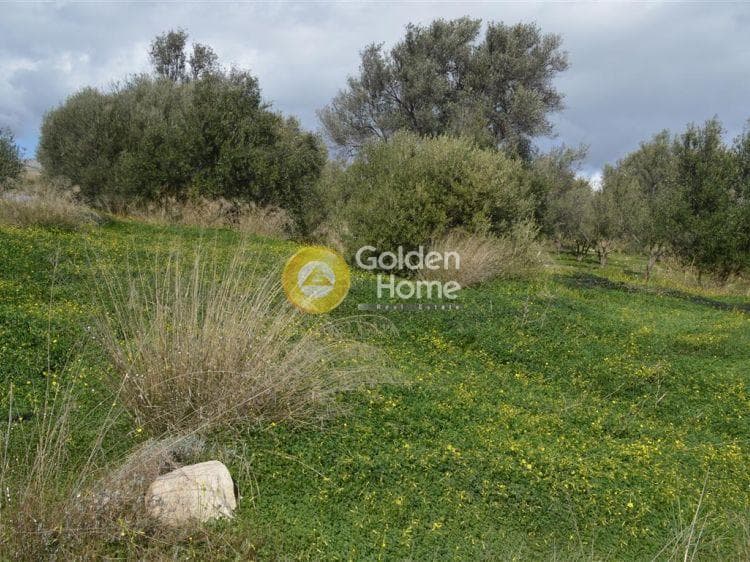 Building Plot in Vorineza, Artemida (Loutsa)