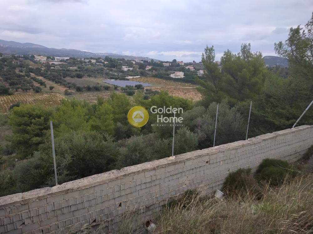 Οικόπεδο στην Νεάπολη, Σπάτα — Φωτογραφία 5 από 7