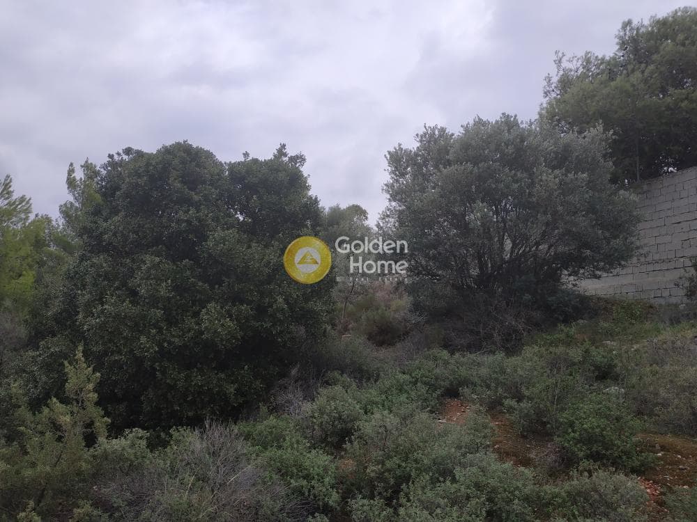 Οικόπεδο στην Νεάπολη, Σπάτα — Φωτογραφία 4 από 7