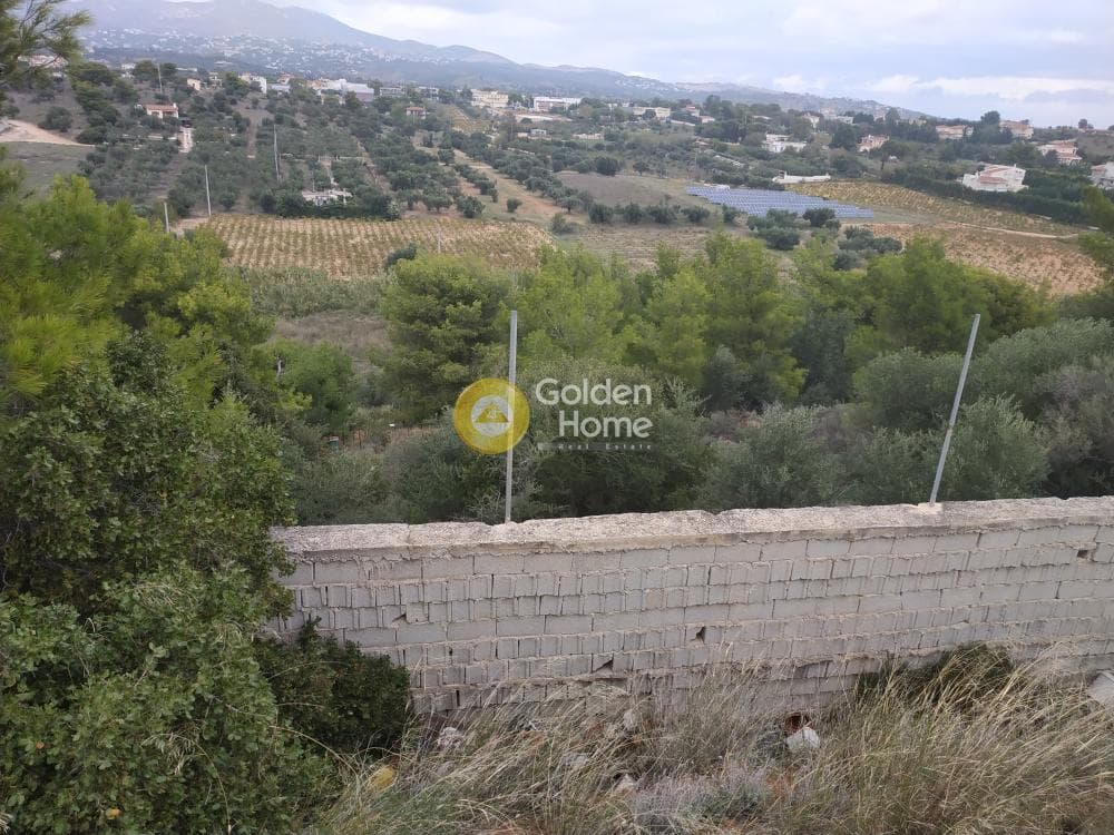 Οικόπεδο στην Νεάπολη, Σπάτα — Φωτογραφία 6 από 7