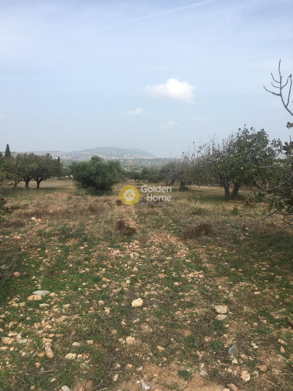 Building Plot in Venio Daskaleiou, Keratea — Photo 1 of 4