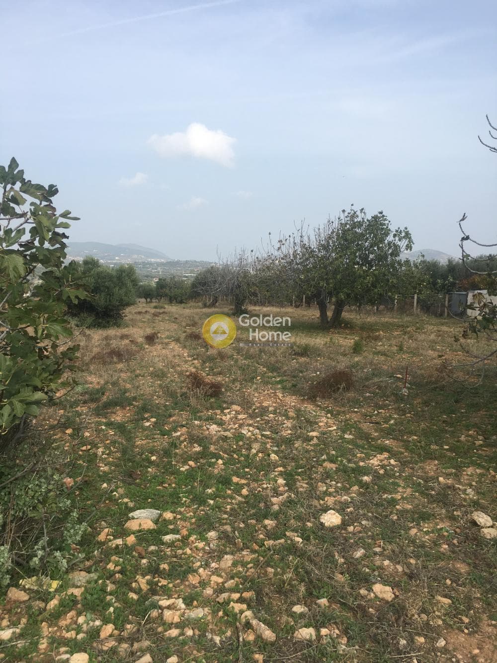 Building Plot in Venio Daskaleiou, Keratea — Photo 2 of 4