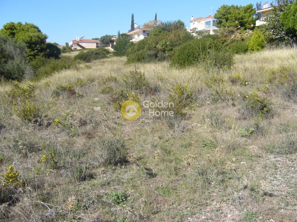 Building Plot in Agia Marina, Koropi — Photo 1 of 5