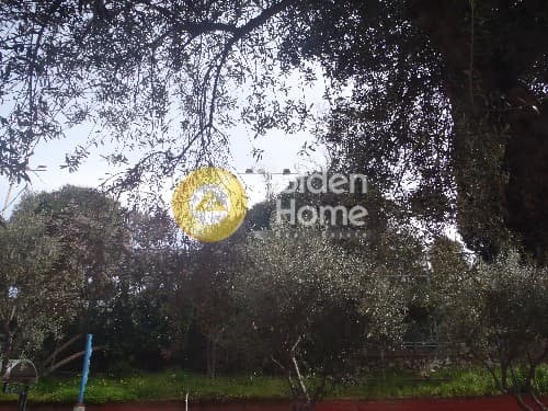 Μονοκατοικία στην Πετράλωνα, Πετράλωνα — Φωτογραφία 3 από 6