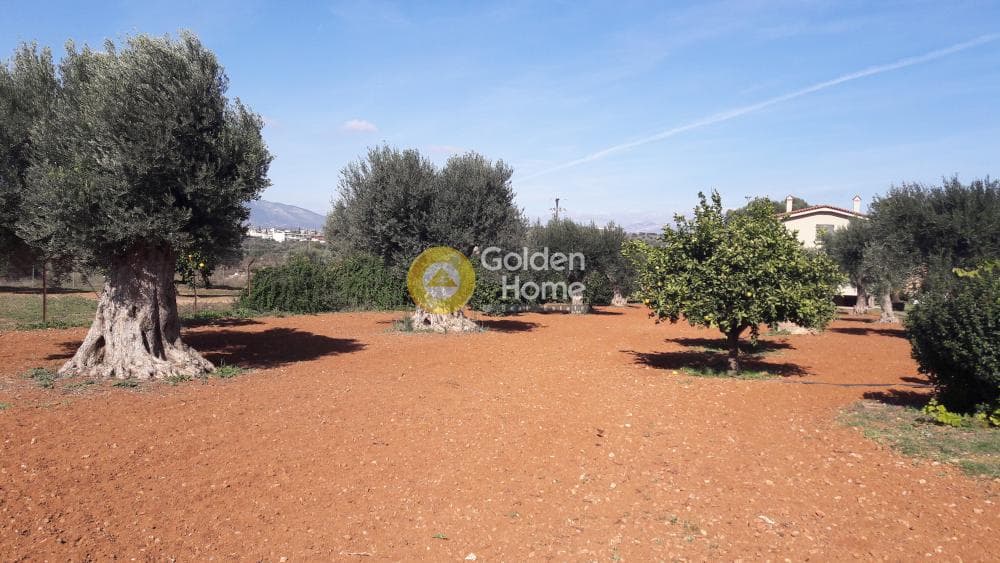 Μονοκατοικία στην Λεωφ. Βάρης Κορωπίου, Κορωπί — Φωτογραφία 8 από 9