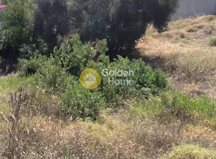Οικόπεδο στην Σφεντούρι, Αίγινα — Φωτογραφία 2 από 5