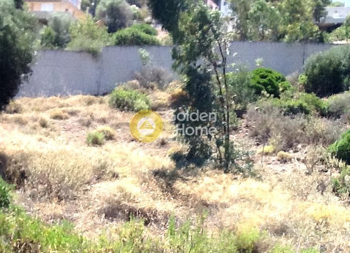 Οικόπεδο στην Σφεντούρι, Αίγινα — Φωτογραφία 3 από 5