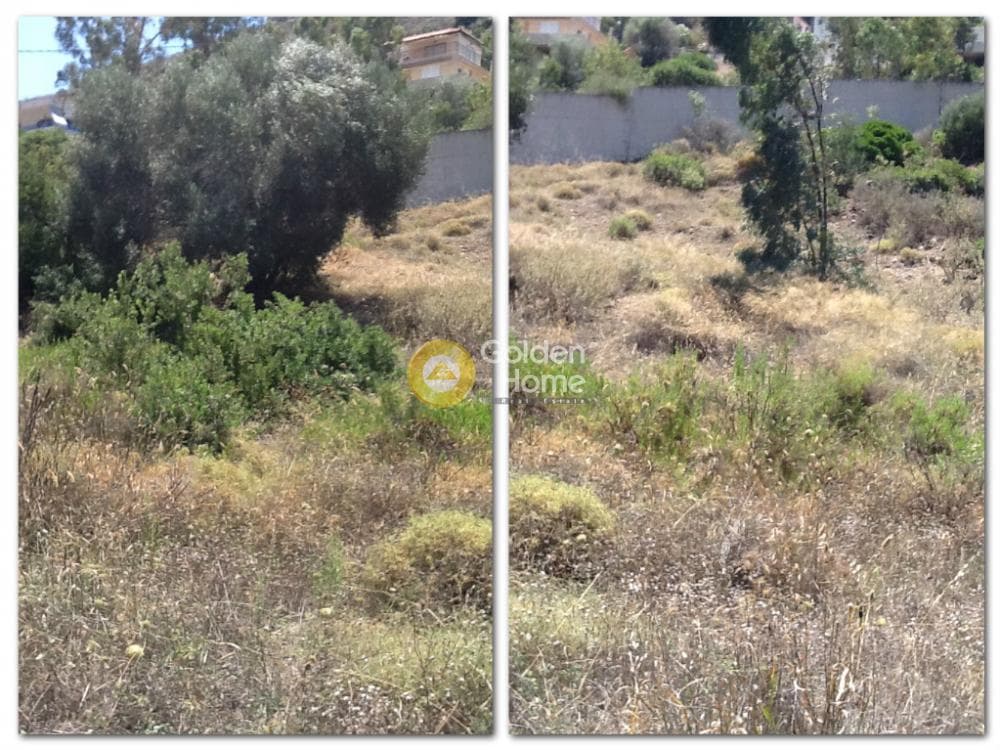Οικόπεδο στην Σφεντούρι, Αίγινα — Φωτογραφία 4 από 5