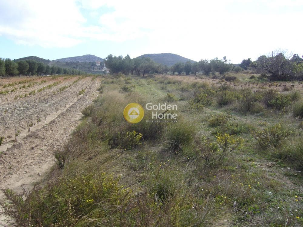 Parcel in Manoutso, Keratea — Photo 6 of 12
