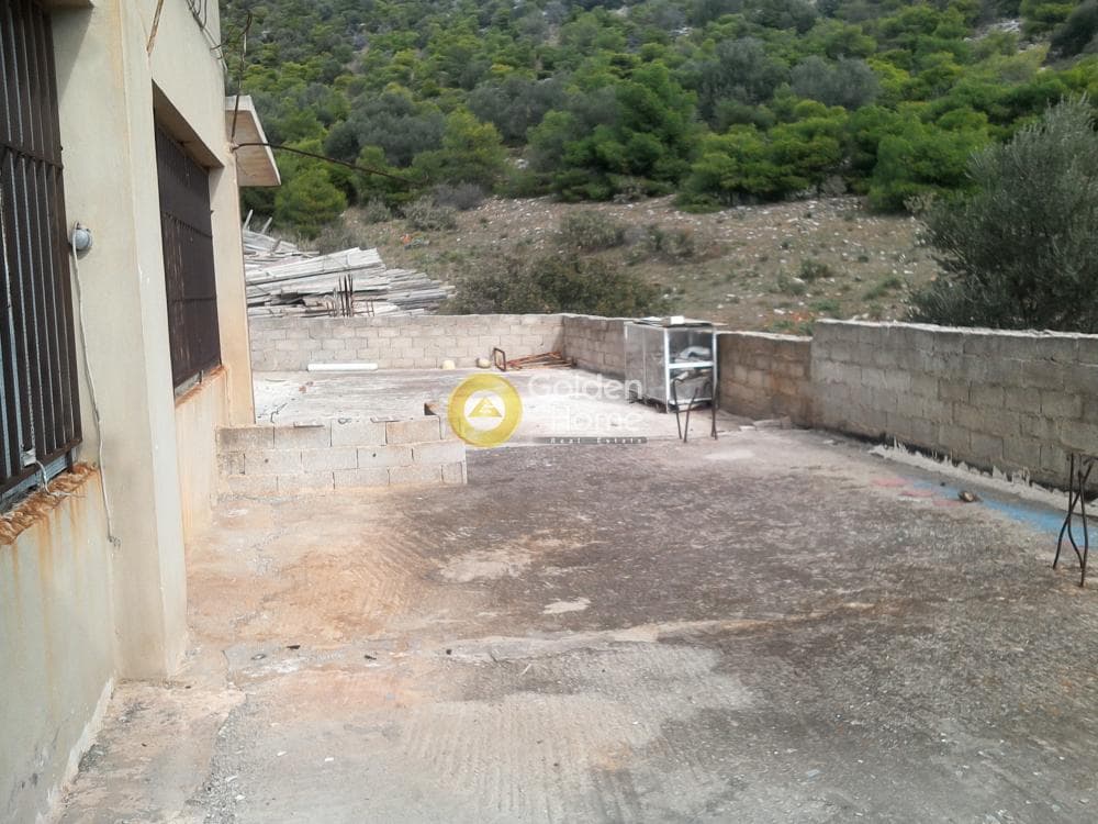Βιομηχανικός Χώρος στην Πεύκα Βέρδη, Πετρούπολη — Φωτογραφία 25 από 28