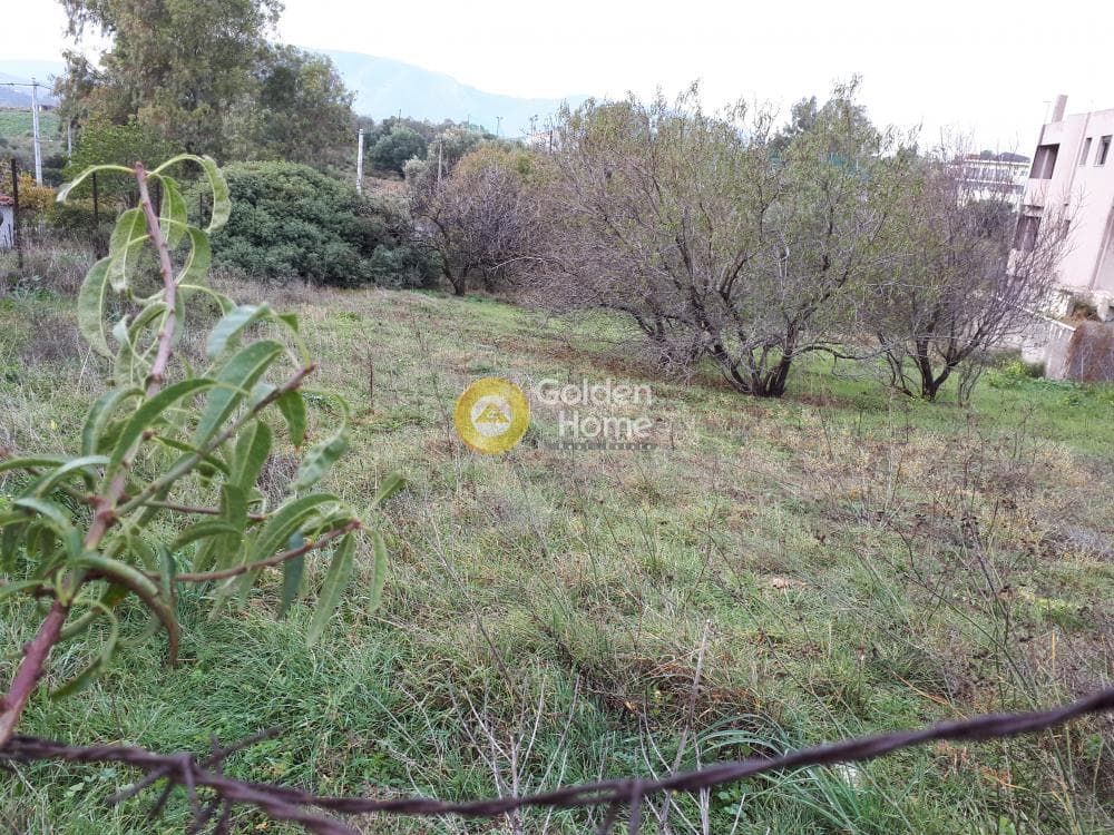 Building Plot in Kato Charvati, Pallini — Photo 8 of 9