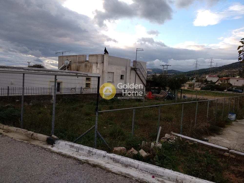 Αγροτεμάχιο στην Μεγάλα Σχοινία Α, Αχαρνές — Φωτογραφία 10 από 10