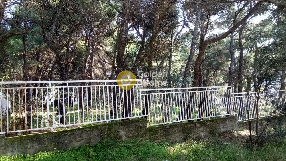 Building Plot in Megala Sxoinia A, Acharnes — Photo 8 of 17