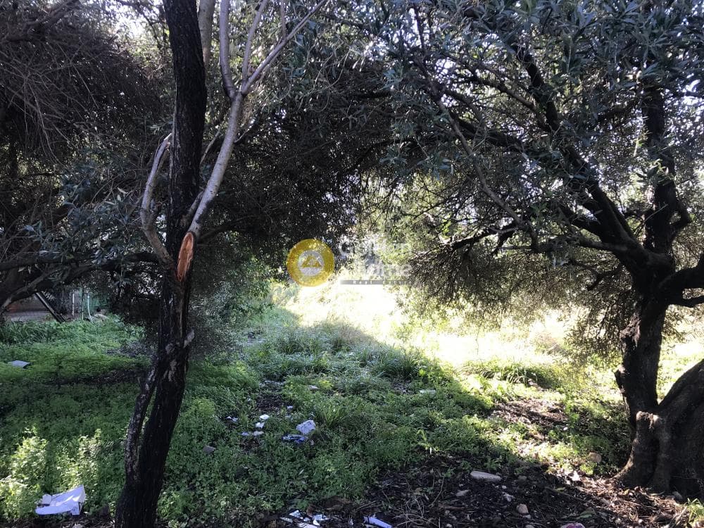 Οικόπεδο στην Σισμανόγλειο, Μαρούσι — Φωτογραφία 3 από 3