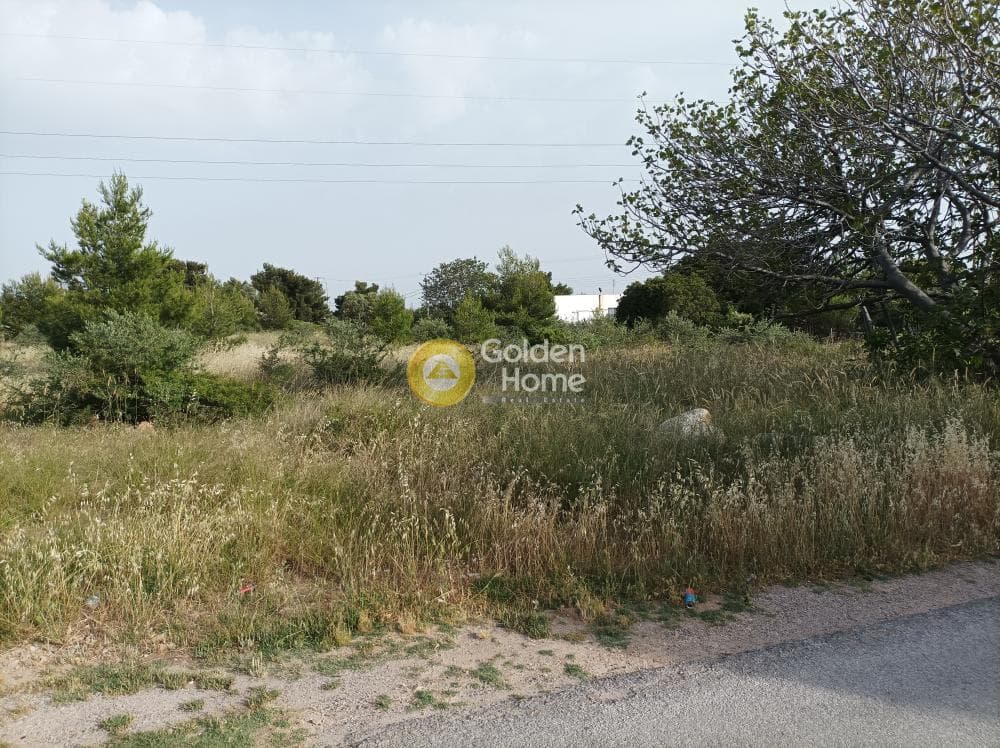 Parcel in Center, Gerakas — Photo 4 of 4
