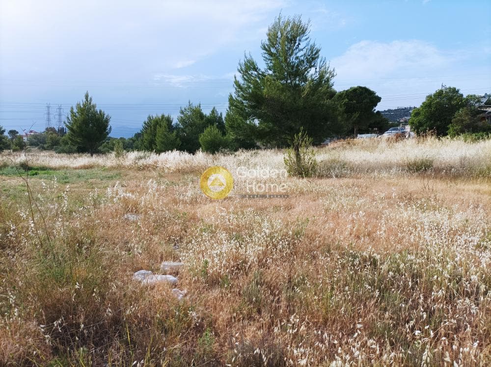 Parcel in Center, Gerakas — Photo 2 of 4