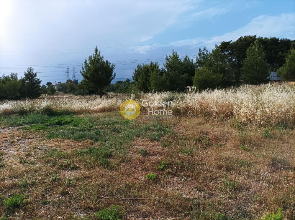 Parcel in Center, Gerakas — Photo 3 of 4