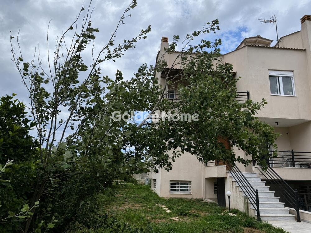 House in Porto Rafti, Vravrona — Photo 28 of 28
