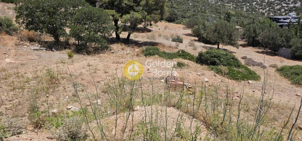 Μονοκατοικία στην Λαμπρικά, Κορωπί — Φωτογραφία 40 από 48