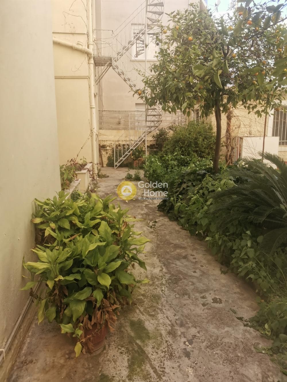 Office in Politechnioupoli, Zografou — Photo 13 of 15