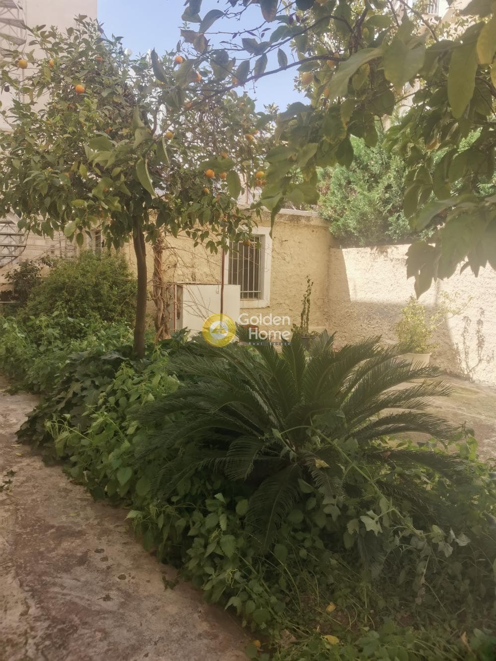 Office in Politechnioupoli, Zografou — Photo 14 of 15