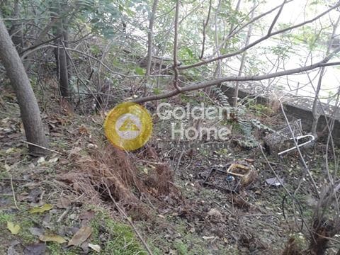Οικόπεδο στην Πευκάκια, Νέα Ιωνία — Φωτογραφία 3 από 3