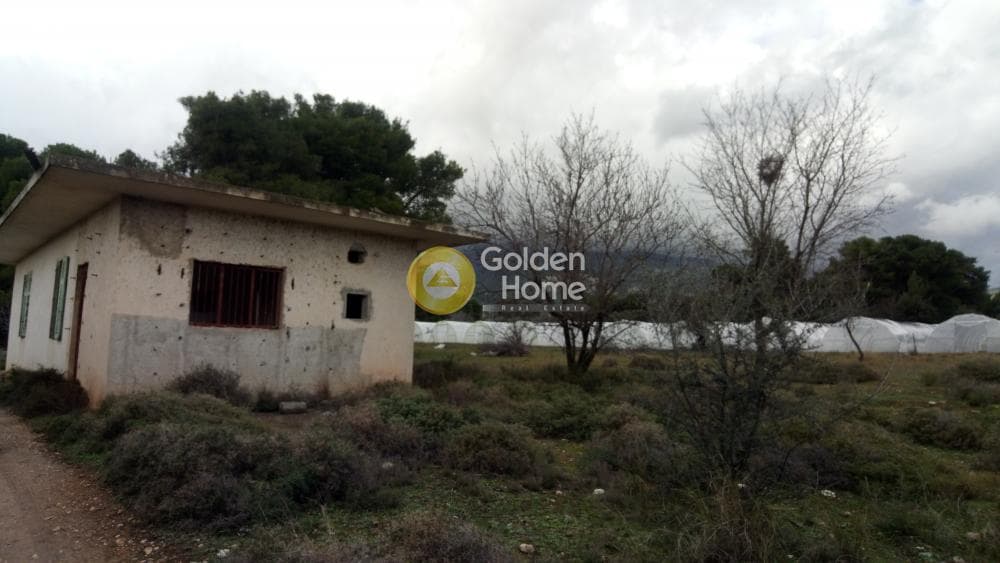 Αγροτεμάχιο στην Μεγάλα Σχοινία Α, Αχαρνές — Φωτογραφία 6 από 11